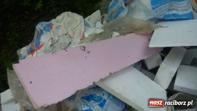 Zdjęcie w galerii na portalu naszraciborz.pl: To nieprawdopodobne, co odkryto w Arboretum Bramy Morawskiej, czyli lesie Obora! Pomóż namierzyć sprawcę! wiadomości z regionu