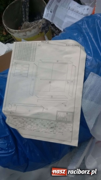 Zdjęcie w galerii na portalu naszraciborz.pl: To nieprawdopodobne, co odkryto w Arboretum Bramy Morawskiej, czyli lesie Obora! Pomóż namierzyć sprawcę! wiadomości z regionu