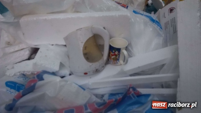 Zdjęcie w galerii na portalu naszraciborz.pl: To nieprawdopodobne, co odkryto w Arboretum Bramy Morawskiej, czyli lesie Obora! Pomóż namierzyć sprawcę! wiadomości z regionu