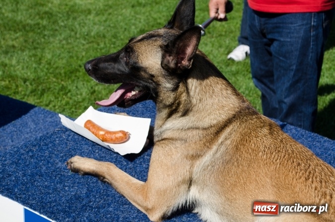 Zdjęcie w galerii na portalu naszraciborz.pl: Kosmiczny mondioring, czyli fotoreportaż z pierwszego dnia zawodów w Raciborzu wiadomości z regionu