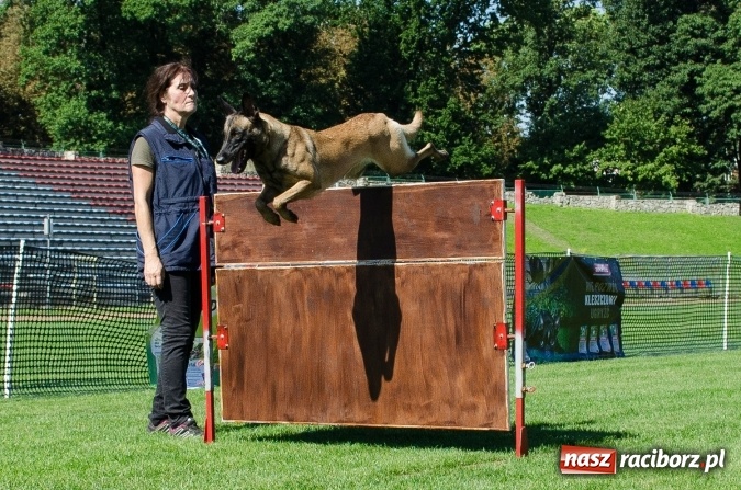 Zdjęcie w galerii na portalu naszraciborz.pl: Kosmiczny mondioring, czyli fotoreportaż z pierwszego dnia zawodów w Raciborzu wiadomości z regionu