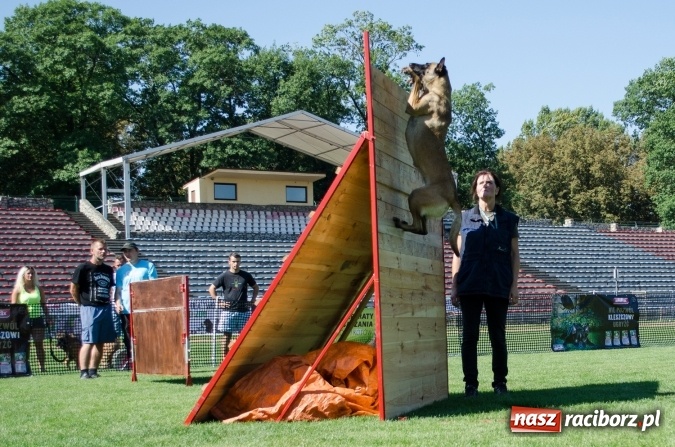 Zdjęcie w galerii na portalu naszraciborz.pl: Kosmiczny mondioring, czyli fotoreportaż z pierwszego dnia zawodów w Raciborzu wiadomości z regionu