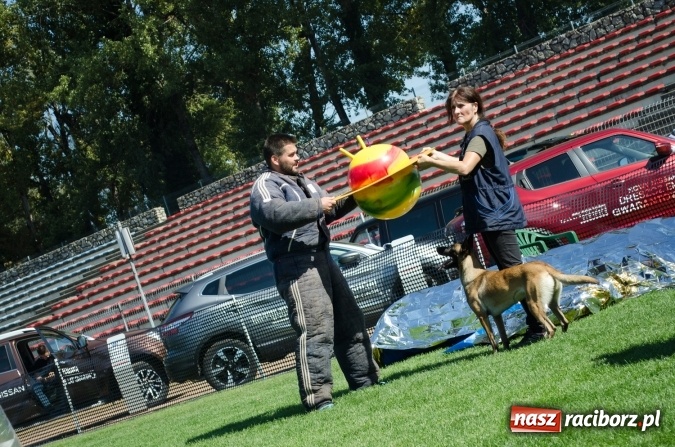 Zdjęcie w galerii na portalu naszraciborz.pl: Kosmiczny mondioring, czyli fotoreportaż z pierwszego dnia zawodów w Raciborzu wiadomości z regionu