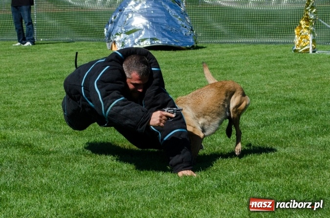 Zdjęcie w galerii na portalu naszraciborz.pl: Kosmiczny mondioring, czyli fotoreportaż z pierwszego dnia zawodów w Raciborzu wiadomości z regionu