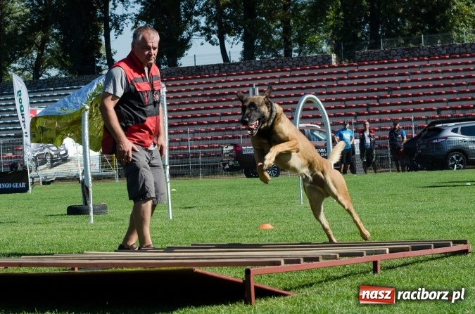 Zdjęcie w galerii na portalu naszraciborz.pl: Kosmiczny mondioring, czyli fotoreportaż z pierwszego dnia zawodów w Raciborzu wiadomości z regionu