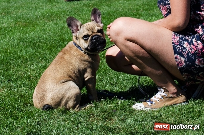 Zdjęcie w galerii na portalu naszraciborz.pl: Kosmiczny mondioring, czyli fotoreportaż z pierwszego dnia zawodów w Raciborzu wiadomości z regionu