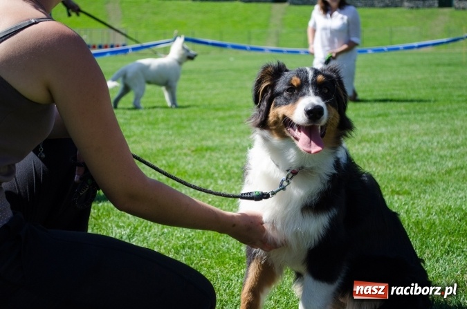 Zdjęcie w galerii na portalu naszraciborz.pl: Kosmiczny mondioring, czyli fotoreportaż z pierwszego dnia zawodów w Raciborzu wiadomości z regionu