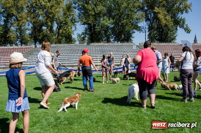 Zdjęcie w galerii na portalu naszraciborz.pl: Kosmiczny mondioring, czyli fotoreportaż z pierwszego dnia zawodów w Raciborzu wiadomości z regionu