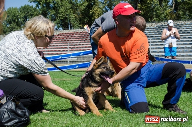 Zdjęcie w galerii na portalu naszraciborz.pl: Kosmiczny mondioring, czyli fotoreportaż z pierwszego dnia zawodów w Raciborzu wiadomości z regionu