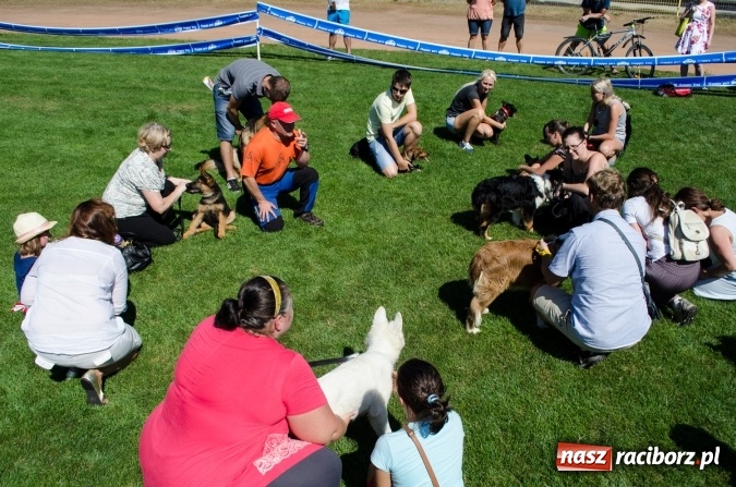 Zdjęcie w galerii na portalu naszraciborz.pl: Kosmiczny mondioring, czyli fotoreportaż z pierwszego dnia zawodów w Raciborzu wiadomości z regionu