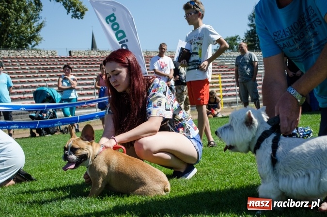 Zdjęcie w galerii na portalu naszraciborz.pl: Kosmiczny mondioring, czyli fotoreportaż z pierwszego dnia zawodów w Raciborzu wiadomości z regionu