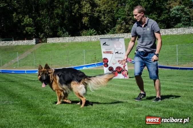 Zdjęcie w galerii na portalu naszraciborz.pl: Kosmiczny mondioring, czyli fotoreportaż z pierwszego dnia zawodów w Raciborzu wiadomości z regionu