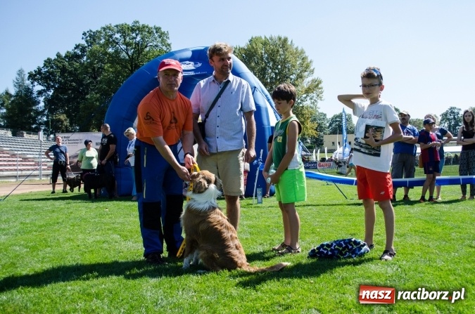 Zdjęcie w galerii na portalu naszraciborz.pl: Kosmiczny mondioring, czyli fotoreportaż z pierwszego dnia zawodów w Raciborzu wiadomości z regionu