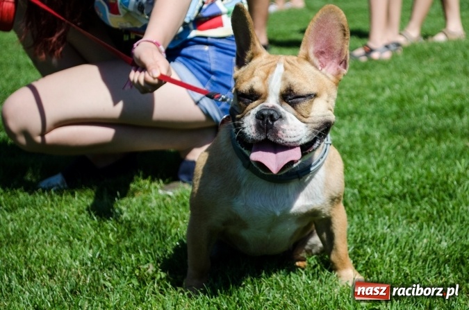 Zdjęcie w galerii na portalu naszraciborz.pl: Kosmiczny mondioring, czyli fotoreportaż z pierwszego dnia zawodów w Raciborzu wiadomości z regionu