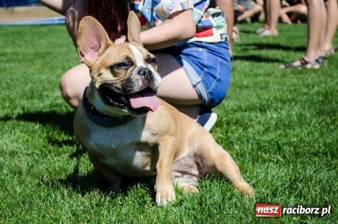 Zdjęcie w galerii na portalu naszraciborz.pl: Kosmiczny mondioring, czyli fotoreportaż z pierwszego dnia zawodów w Raciborzu wiadomości z regionu