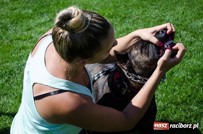 Zdjęcie w galerii na portalu naszraciborz.pl: Kosmiczny mondioring, czyli fotoreportaż z pierwszego dnia zawodów w Raciborzu wiadomości z regionu