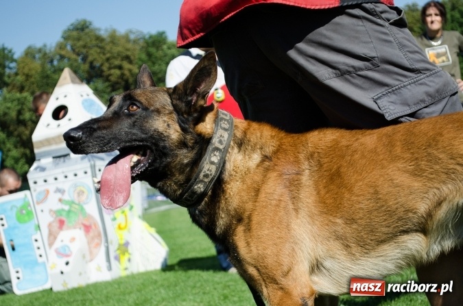 Zdjęcie w galerii na portalu naszraciborz.pl: Kosmiczny mondioring, czyli fotoreportaż z pierwszego dnia zawodów w Raciborzu wiadomości z regionu