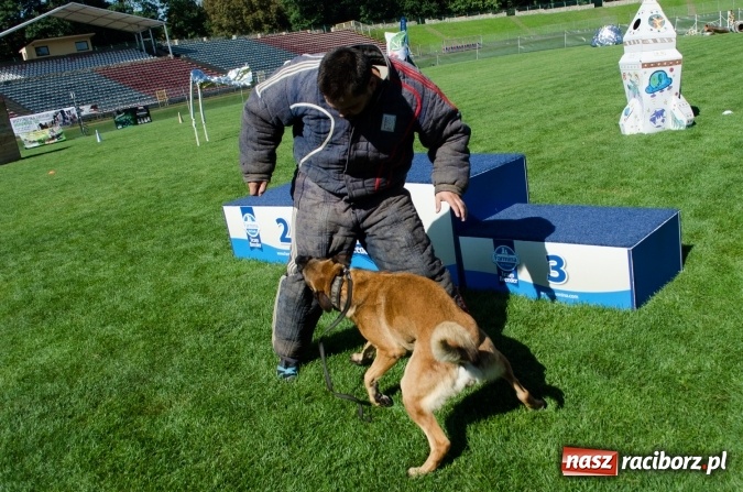 Zdjęcie w galerii na portalu naszraciborz.pl: Kosmiczny mondioring, czyli fotoreportaż z pierwszego dnia zawodów w Raciborzu wiadomości z regionu