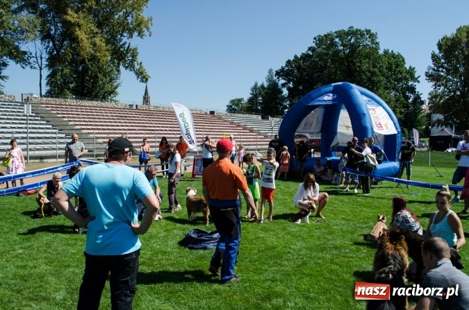 Zdjęcie w galerii na portalu naszraciborz.pl: Kosmiczny mondioring, czyli fotoreportaż z pierwszego dnia zawodów w Raciborzu wiadomości z regionu