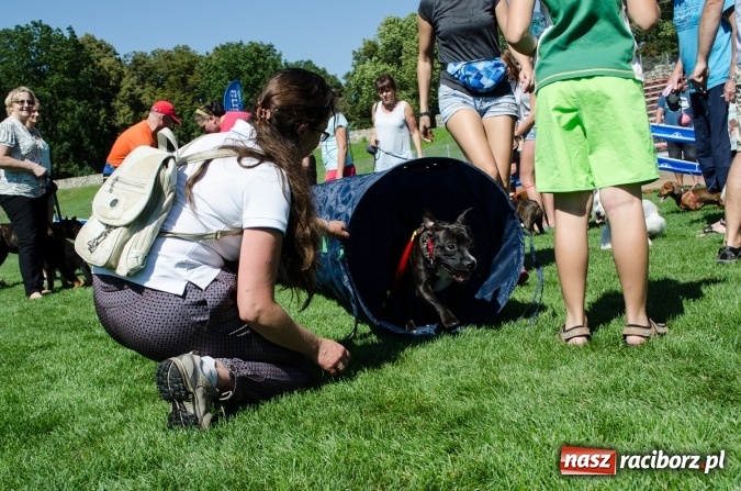 Zdjęcie w galerii na portalu naszraciborz.pl: Kosmiczny mondioring, czyli fotoreportaż z pierwszego dnia zawodów w Raciborzu wiadomości z regionu