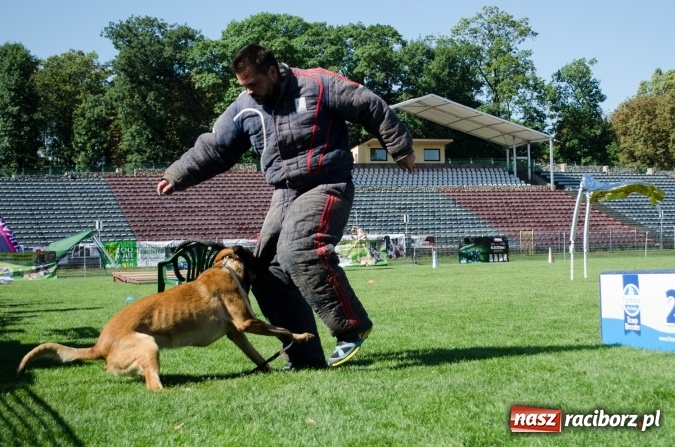 Zdjęcie w galerii na portalu naszraciborz.pl: Kosmiczny mondioring, czyli fotoreportaż z pierwszego dnia zawodów w Raciborzu wiadomości z regionu