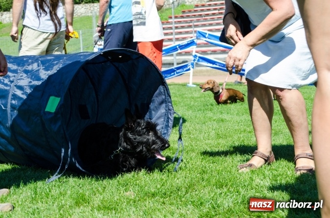 Zdjęcie w galerii na portalu naszraciborz.pl: Kosmiczny mondioring, czyli fotoreportaż z pierwszego dnia zawodów w Raciborzu wiadomości z regionu