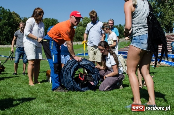 Zdjęcie w galerii na portalu naszraciborz.pl: Kosmiczny mondioring, czyli fotoreportaż z pierwszego dnia zawodów w Raciborzu wiadomości z regionu