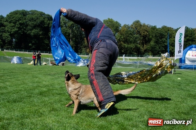 Zdjęcie w galerii na portalu naszraciborz.pl: Kosmiczny mondioring, czyli fotoreportaż z pierwszego dnia zawodów w Raciborzu wiadomości z regionu