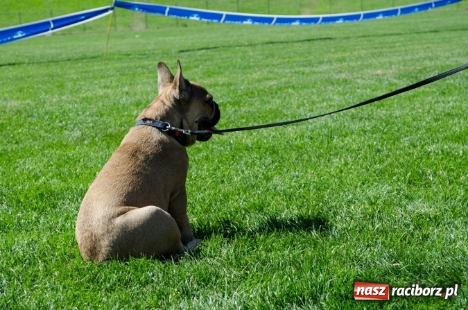 Zdjęcie w galerii na portalu naszraciborz.pl: Kosmiczny mondioring, czyli fotoreportaż z pierwszego dnia zawodów w Raciborzu wiadomości z regionu