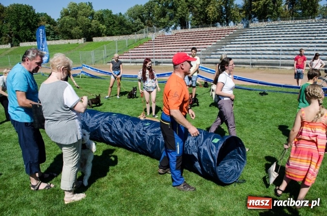 Zdjęcie w galerii na portalu naszraciborz.pl: Kosmiczny mondioring, czyli fotoreportaż z pierwszego dnia zawodów w Raciborzu wiadomości z regionu