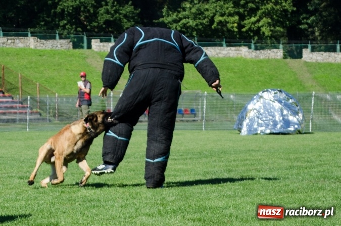 Zdjęcie w galerii na portalu naszraciborz.pl: Kosmiczny mondioring, czyli fotoreportaż z pierwszego dnia zawodów w Raciborzu wiadomości z regionu
