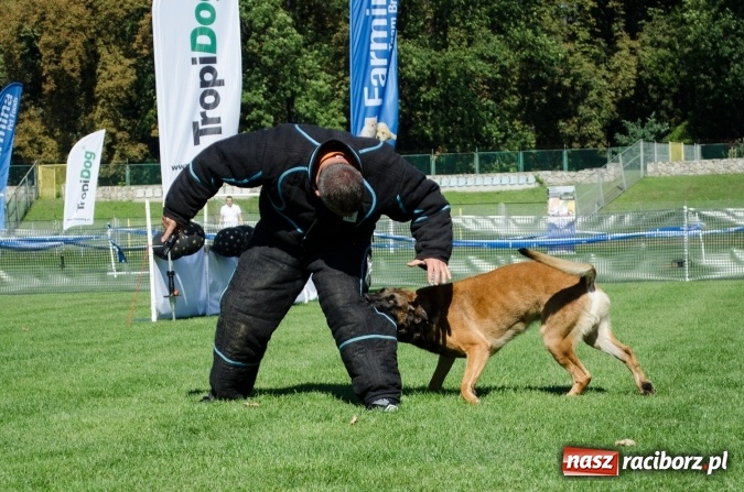 Zdjęcie w galerii na portalu naszraciborz.pl: Kosmiczny mondioring, czyli fotoreportaż z pierwszego dnia zawodów w Raciborzu wiadomości z regionu