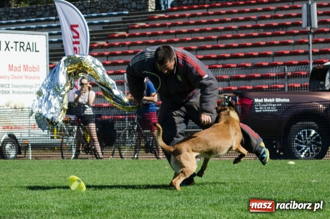 Zdjęcie w galerii na portalu naszraciborz.pl: Kosmiczny mondioring, czyli fotoreportaż z pierwszego dnia zawodów w Raciborzu wiadomości z regionu