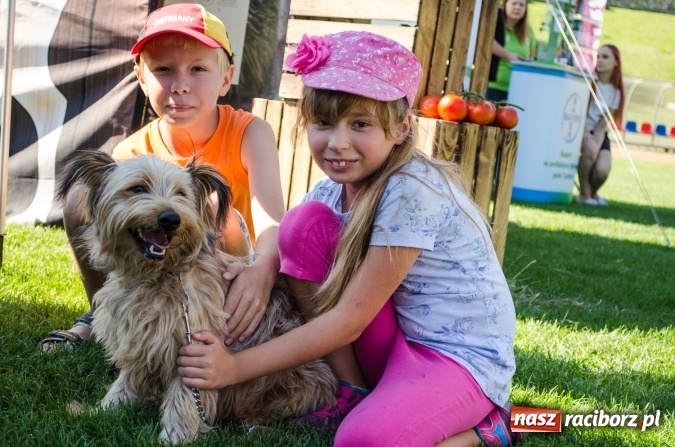 Zdjęcie w galerii na portalu naszraciborz.pl: Kosmiczny mondioring, czyli fotoreportaż z pierwszego dnia zawodów w Raciborzu wiadomości z regionu