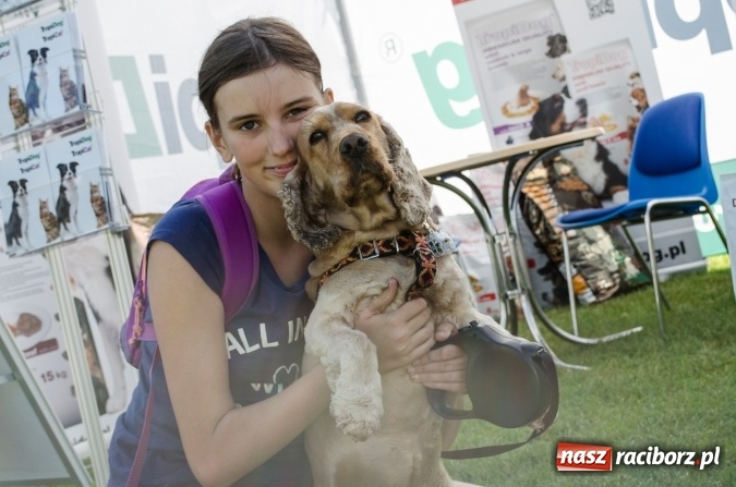 Zdjęcie w galerii na portalu naszraciborz.pl: Kosmiczny mondioring, czyli fotoreportaż z pierwszego dnia zawodów w Raciborzu wiadomości z regionu