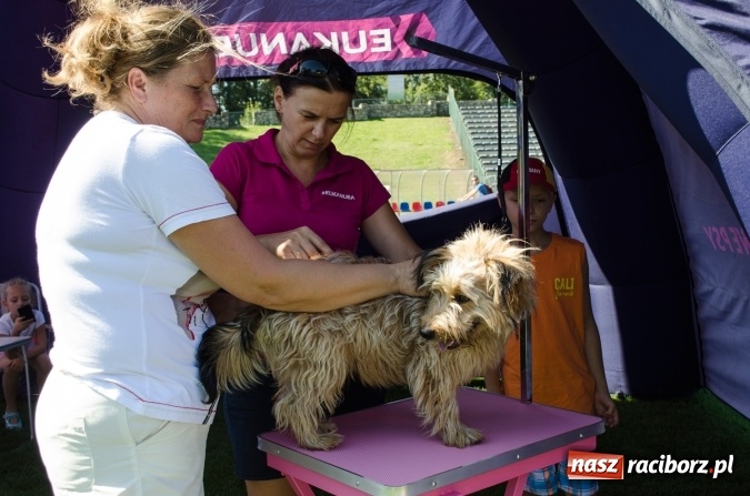 Zdjęcie w galerii na portalu naszraciborz.pl: Kosmiczny mondioring, czyli fotoreportaż z pierwszego dnia zawodów w Raciborzu wiadomości z regionu