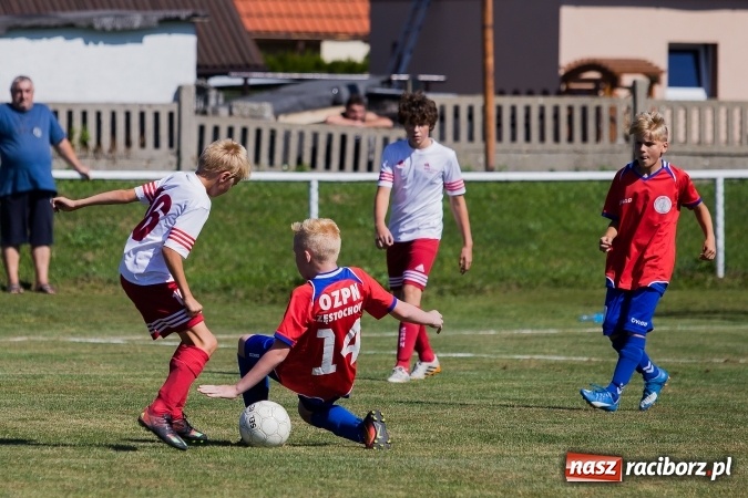 Zdjęcie w galerii na portalu naszraciborz.pl: III edycja Turnieju im. Zbigniewa Oszka za nami. Reprezentacja podokręgu Katowice zwycięska. Zespół z Raciborza trzeci wiadomości z regionu