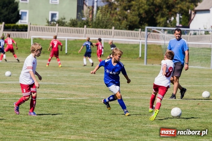 Zdjęcie w galerii na portalu naszraciborz.pl: III edycja Turnieju im. Zbigniewa Oszka za nami. Reprezentacja podokręgu Katowice zwycięska. Zespół z Raciborza trzeci wiadomości z regionu