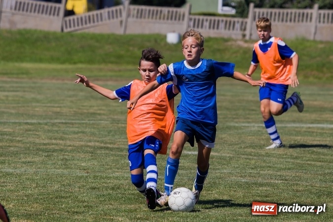 Zdjęcie w galerii na portalu naszraciborz.pl: III edycja Turnieju im. Zbigniewa Oszka za nami. Reprezentacja podokręgu Katowice zwycięska. Zespół z Raciborza trzeci wiadomości z regionu
