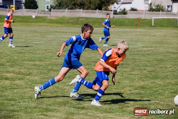 Zdjęcie w galerii na portalu naszraciborz.pl: III edycja Turnieju im. Zbigniewa Oszka za nami. Reprezentacja podokręgu Katowice zwycięska. Zespół z Raciborza trzeci wiadomości z regionu