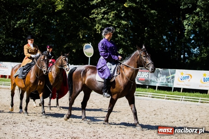 Zdjęcie w galerii na portalu naszraciborz.pl: Plejada znanych artystów w Zakrzowie na XIX Jeździeckich Mistrzostwach Gwiazd - Art Cup wiadomości z regionu