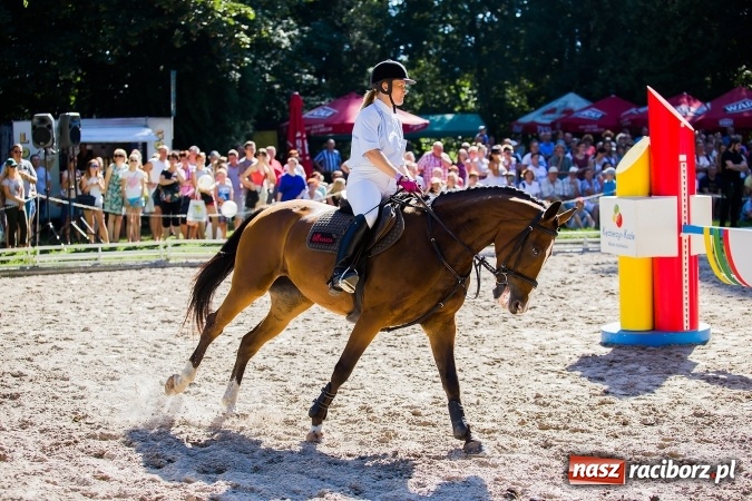 Zdjęcie w galerii na portalu naszraciborz.pl: Plejada znanych artystów w Zakrzowie na XIX Jeździeckich Mistrzostwach Gwiazd - Art Cup wiadomości z regionu