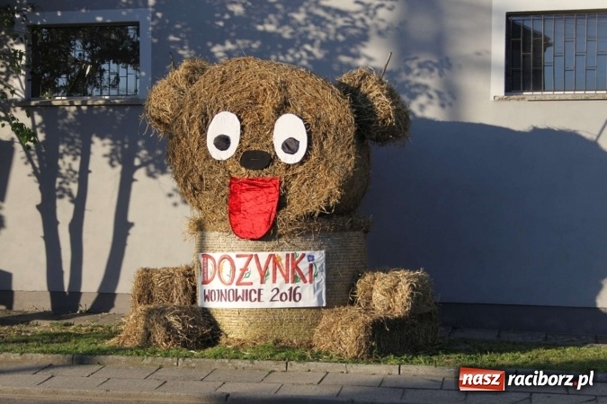 Zdjęcie w galerii na portalu naszraciborz.pl: Street workout atrakcją pierwszego dnia festynu w Wojnowicach wiadomości z regionu