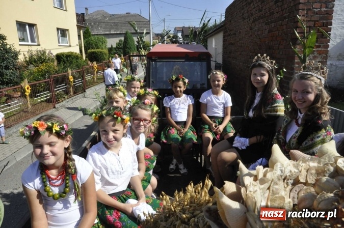 Zdjęcie w galerii na portalu naszraciborz.pl: Dożynki 2016. Z Krowiarek do Amandowa. Dożynkowy korowód jedzie aż godzinę wiadomości z regionu
