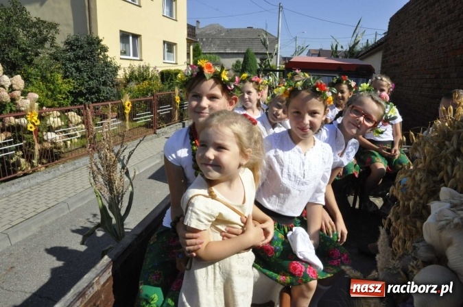 Zdjęcie w galerii na portalu naszraciborz.pl: Dożynki 2016. Z Krowiarek do Amandowa. Dożynkowy korowód jedzie aż godzinę wiadomości z regionu