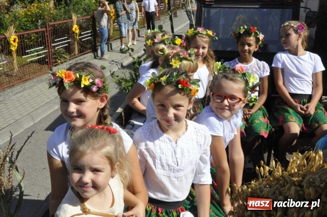 Zdjęcie w galerii na portalu naszraciborz.pl: Dożynki 2016. Z Krowiarek do Amandowa. Dożynkowy korowód jedzie aż godzinę wiadomości z regionu
