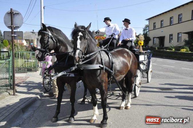 Zdjęcie w galerii na portalu naszraciborz.pl: Dożynki 2016. Z Krowiarek do Amandowa. Dożynkowy korowód jedzie aż godzinę wiadomości z regionu