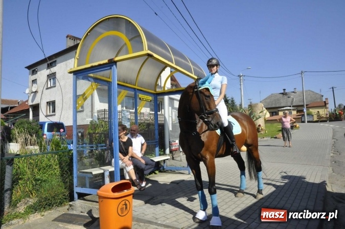 Zdjęcie w galerii na portalu naszraciborz.pl: Dożynki 2016. Z Krowiarek do Amandowa. Dożynkowy korowód jedzie aż godzinę wiadomości z regionu