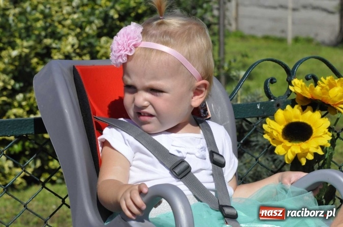 Zdjęcie w galerii na portalu naszraciborz.pl: Dożynki 2016. Z Krowiarek do Amandowa. Dożynkowy korowód jedzie aż godzinę wiadomości z regionu