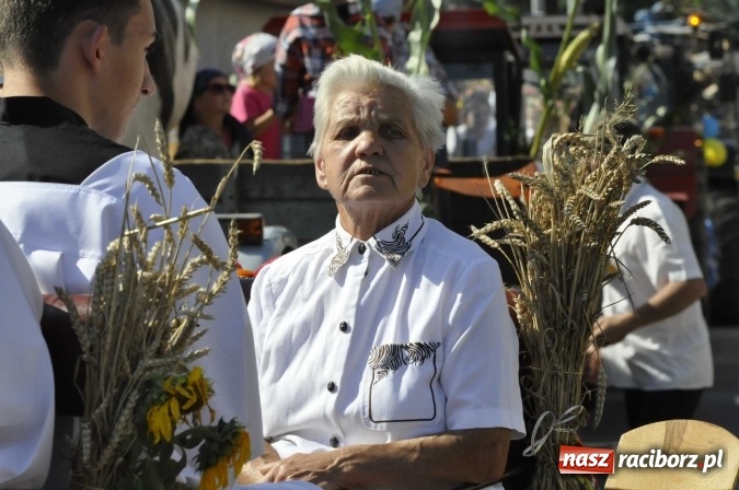 Zdjęcie w galerii na portalu naszraciborz.pl: Dożynki 2016. Z Krowiarek do Amandowa. Dożynkowy korowód jedzie aż godzinę wiadomości z regionu